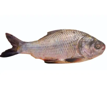 Katla Fresh Local Cultured (7-9.999 kg) per kg