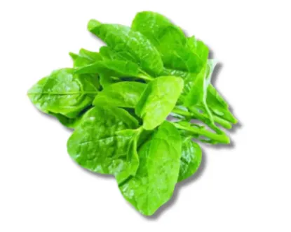 Pui Shak (Malabar Spinach) per piece
