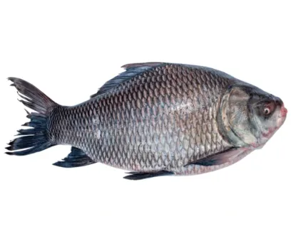 Katla Fresh Local Cultured (3-4.999 kg) per kg