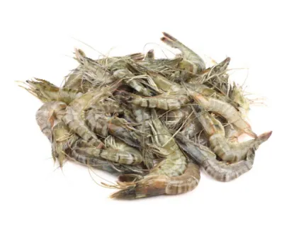 Bagda Chingri Fresh Local Cultured (55-65 Pcs/kg)
