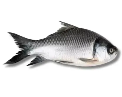 Katla Fresh Local Cultured (2-2.999 kg)
