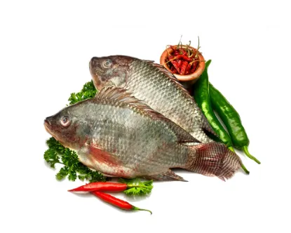 Telapiya Fresh Local Cultured 200gm (per kg)