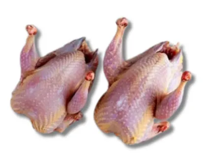 Kobutorer Mangsho (Pigeon Meat) Regular/per kg