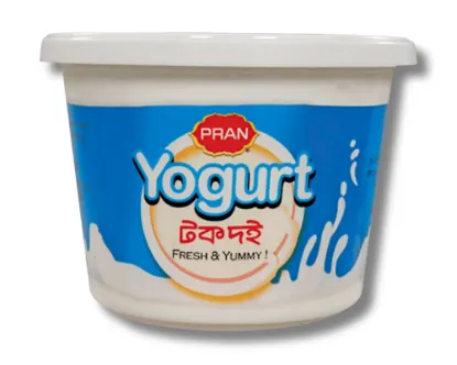 Pran Sour Curd 500gm