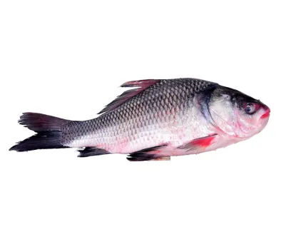 Katla Fresh Local Cultured (5-6.999 kg) per kg
