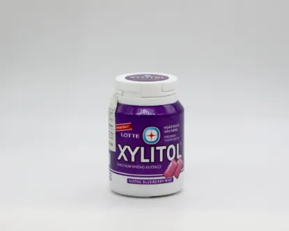 Lotte Xylitol Blueberry Mint Gum 55.1gm VN