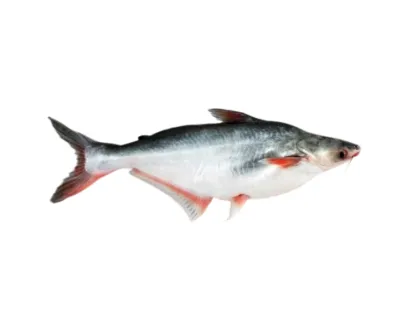 Pangas Fresh Local Cultured 5kg+/per kg