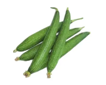 Dhundul (Sponge Gourd) kg