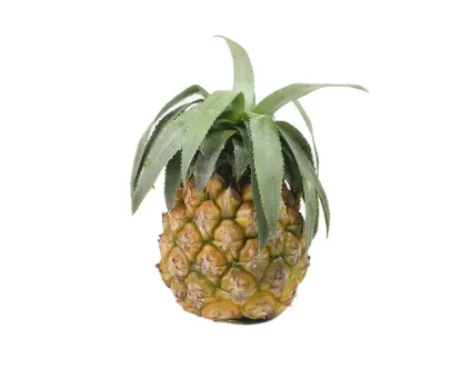 Calendar Anarosh (Pineapple) 600gm+ Per Pcs (per piece)