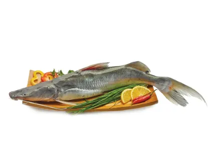 Ayer Fresh Local Captured (1-1.999 kg) per kg