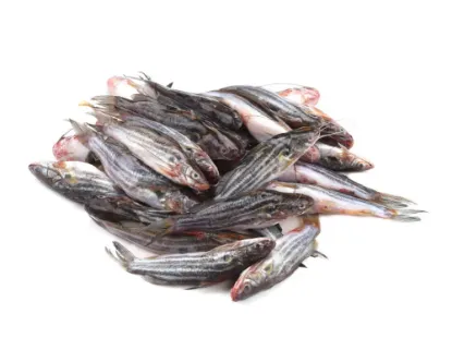 Tengra Fresh Local Captured (per kg)