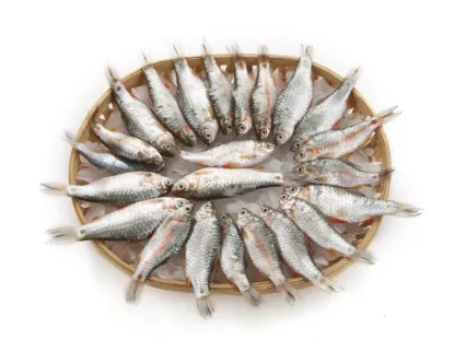 Puti Fresh Local Cultured (per kg)
