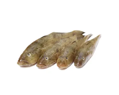 Baila Gura Fresh Local Captured (per kg)